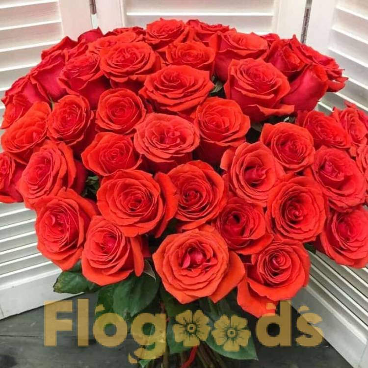 51 красная роза за 19 546 руб.